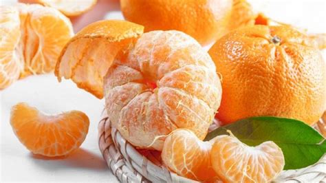 Miandoroud Tangerine Exports Surpass 25k Tons Financial Tribune