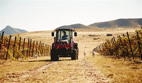 Massey Ferguson Tractors Are The Complete Package Agco Farmlife