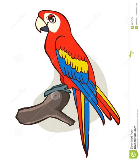 Cartoon Parrot Stock Photos Image 36227373