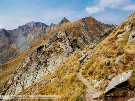 O hartă creată de către utilizatori ca şi tine! Varful Moldoveanu, Fagaras, Munti - Aventura in Romania
