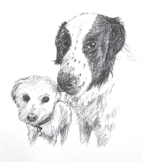 The Resilience of Dogs — Hersch Wilson