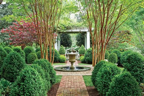 Growing Boxwood Varieties And Care