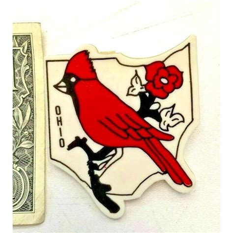 Vintage Ohio State Bird Cardinal Map Of Ohio Pin Pinback Swag Etsy
