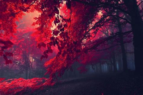 Check spelling or type a new query. 66+ Chill backgrounds ·① Download free cool High ...