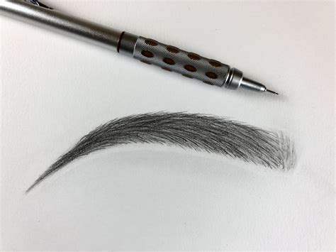How To Draw Eyebrows For Beginners Step By Step At Drawing Tutorials