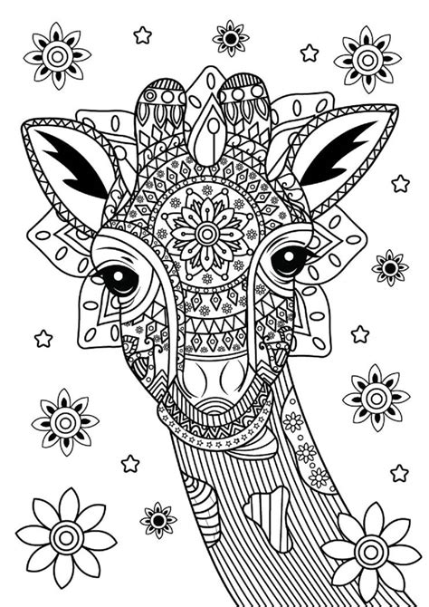 Giraffe Head With Flowers Mandala Coloring Page Download Print Or