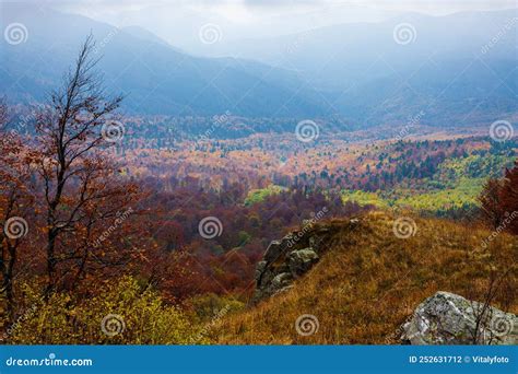 Golden Autumn In The Eastern Carpathians View Of The Valley Stock