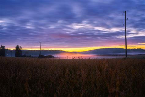 무료 이미지 경치 자연 숲 수평선 구름 하늘 태양 안개 해돋이 일몰 농장 목초지 한 지방 햇빛 아침