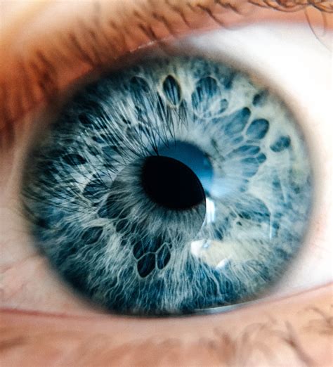 Eye Anatomy Herrick Kitagaki Blog