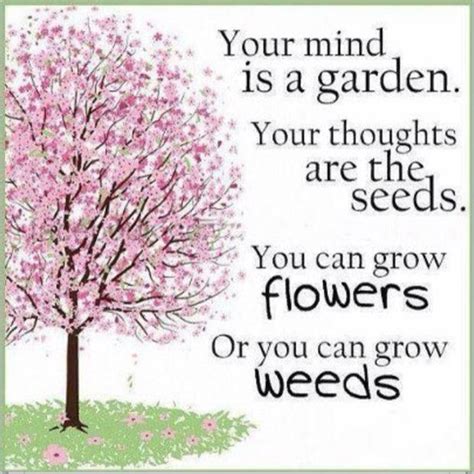 Your Mind Is A Gardenyour Thoughts Are The Seedsyou Can Grow Flowers Or You Can Grow Weeds