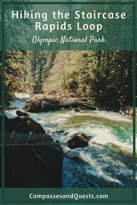 The Staircase Rapids Loop Is An Easy Hike In Olympic National Park That