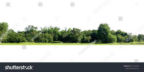 View High Definition Treeline Isolated On Stock Photo 2011746242