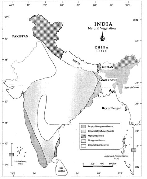 Cbse Ncert Notes For Class 9 Geography Chapter 5 Natural Vegetation And