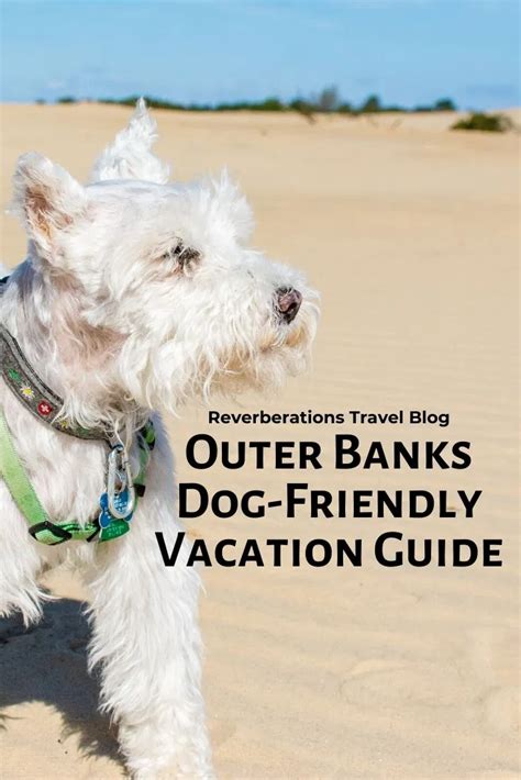 Outer Banks Dog Friendly Vacation Guide Artofit