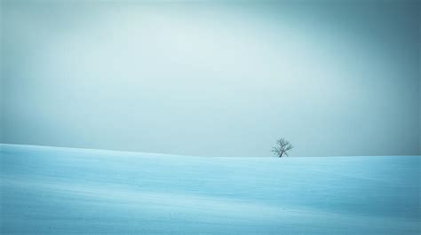 Winter In Solitude Photograph By Fine Art America