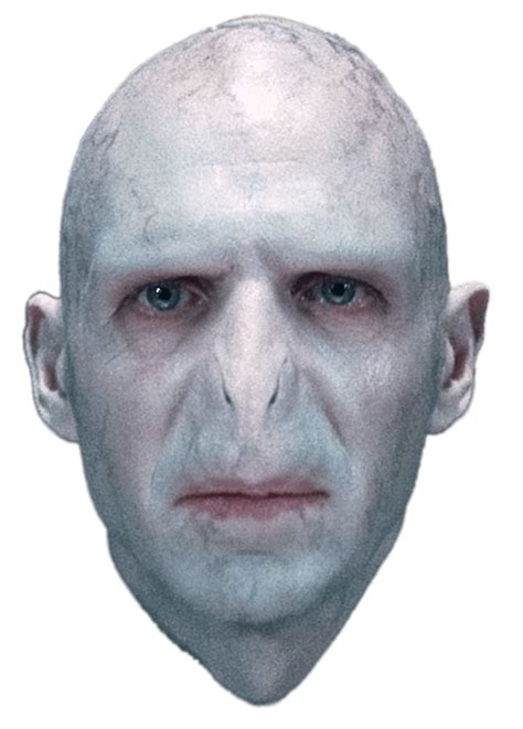 Ralph Fiennes As Lord Voldemort Icons Png Free Png And Icons Downloads