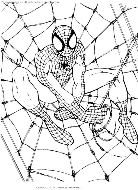Coloring pages spiderman coloring pages 429 (cartoons > spiderman Spider man color pages - timeless-miracle.com