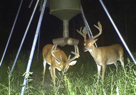 South Texas Tripods And Feeders Deer Blinds Deer Feeders Tripods