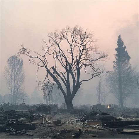 Heres How You Can Help Those Affected By The North Bay Fires 7x7 Bay