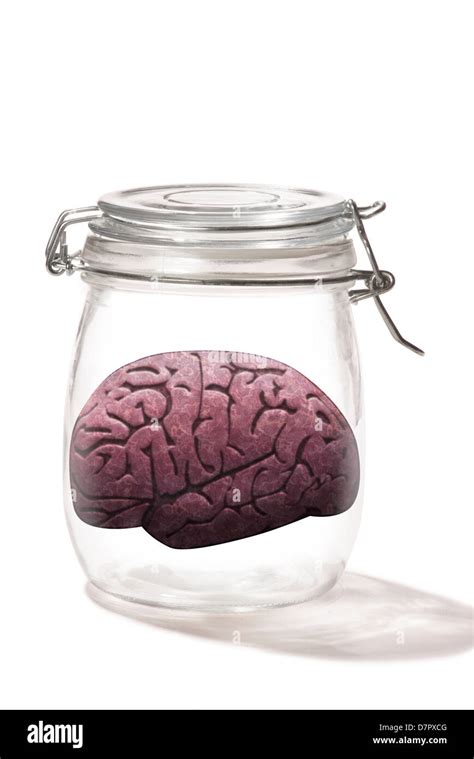 Brain In A Jar Stock Photo Alamy