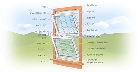 Anatomy Of Windows Anatomical Charts And Posters