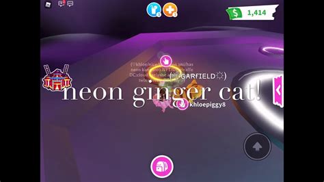 Neon Ginger Cat Adopt Me Roblox Youtube