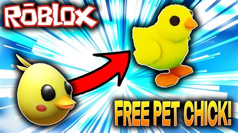 How To Get A Free Pet Chick In Roblox Adopt Me Youtube