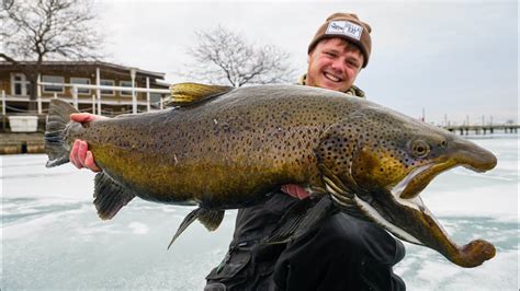 I Caught The Biggest Brown Trout Of My Life Milwaukee Ice Fishing