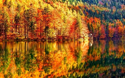 4k Autumn Wallpapers High Quality Download Free