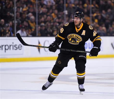 He was part of the bruins' stanley cup win in 2011 and led the nhl in points during the 2011 and 2013. Boston Bruins: David Krejci Will Undergo Off-Season Hip ...