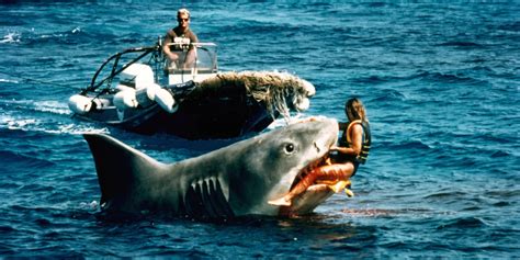 5 Things You Never Knew About Jaws Huffpost