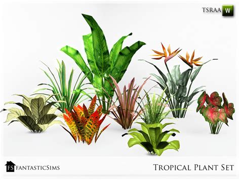 Fantasticsims Tropical Plant Bird Of Paradise Fs