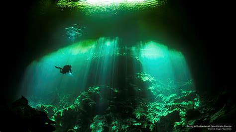 Cenote 1080p 2k 4k 5k Hd Wallpapers Free Download Wallpaper Flare