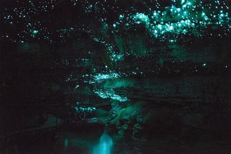 Glow Worm Caves In New Zealand Avenly Lane Travel