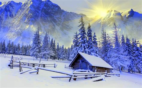 Snowy Landscapes Windows 10 Theme Themepackme