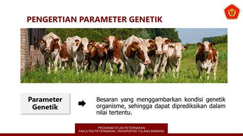PPT Parameter Genetik Pada Ternak Materi Pemuliaan Ternak Dasar PowerPoint Presentation ID