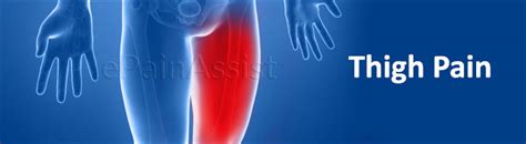Thigh Pain Pulled Hamstring Muscles Pulled Quadriceps