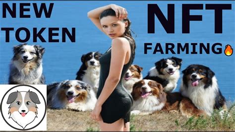 Ass New Token Australian Safe Shepherd How To Buy Ass Token Massive Nft Play And Farming