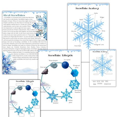 Snow Unit Study Winter Printable Activity Snowflake Anatomy