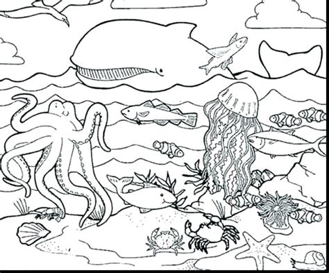 Sea Creatures Coloring Pages At Getdrawings Free Download