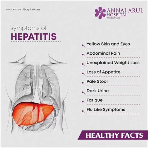 Symptoms Of Hepatitis Multispeciality Hospitals In Chennai