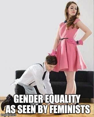 Feminists GenderEquality Imgflip