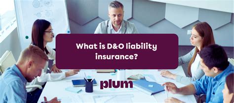 What Is Directors And Officers Dando Liability Insurance Plum