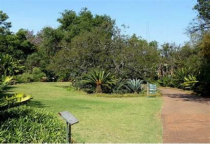 Pretoria Botanical Garden National Tuin Nasionale Picnic
