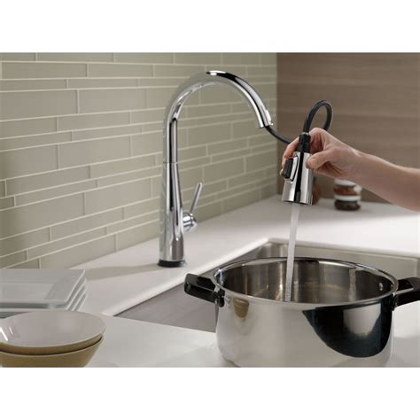 They understand that your lifestyle and. Delta 9113T Essa Single Handle Pull Down Kitchen Faucet ...