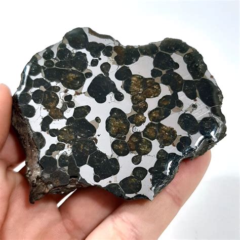 Brenham Meteorite Pallasite From Kansas Endcut Meteolovers