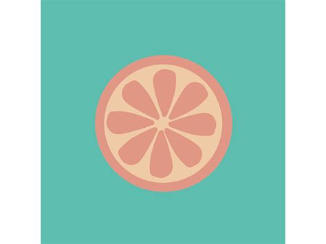 O Is For Orange By Rylie Allen On Dribbble