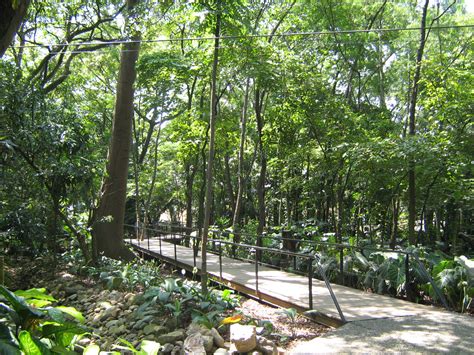 Archivojardin Botanico De Medellin Bosque Tropical 2 Wikipedia