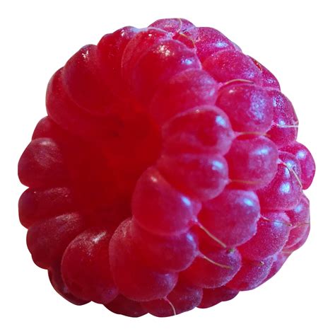 Download Raspberry Png Image For Free