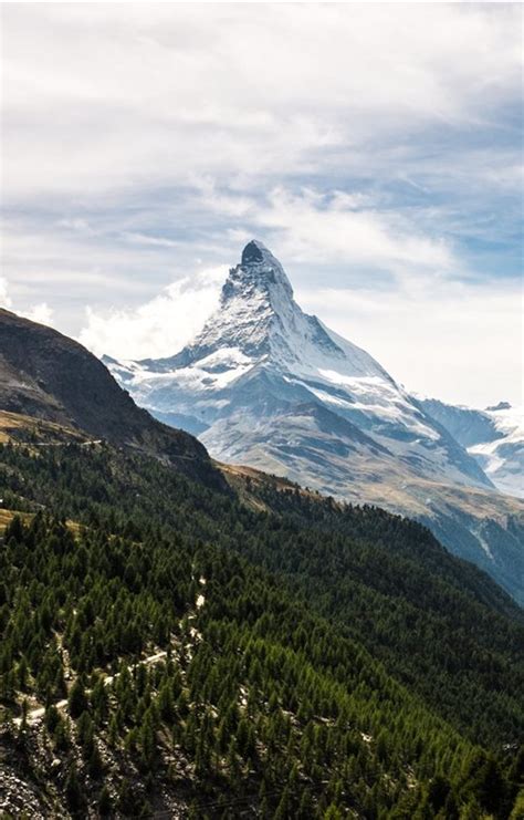 See 688 traveler reviews, 517 candid photos, and great deals for hispanos 7 suiza, ranked #100 of 534 hotels in barcelona and. Suiza